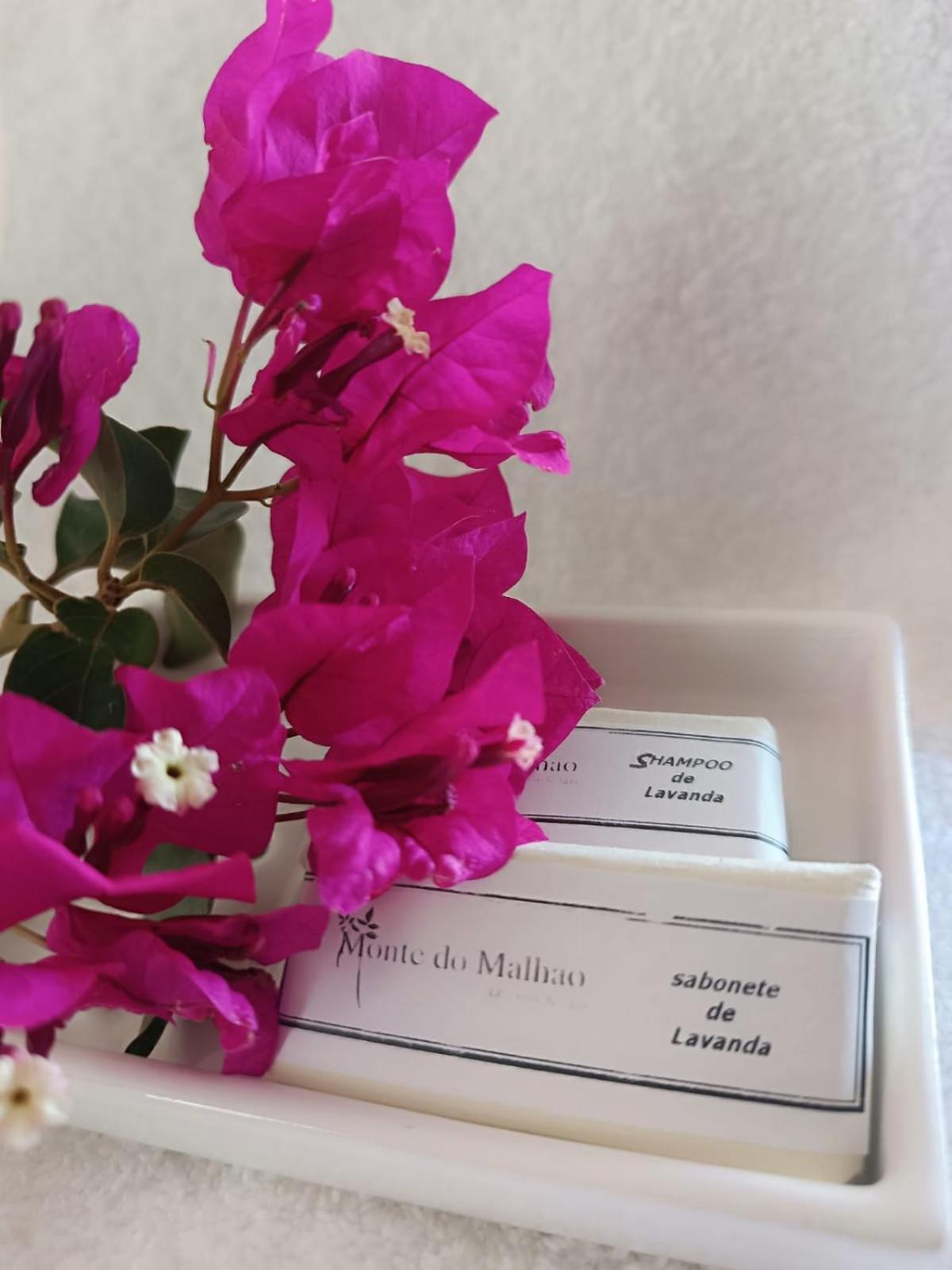 Monte Do Malhao - Art, Eco & Spa 马林堡 外观 照片